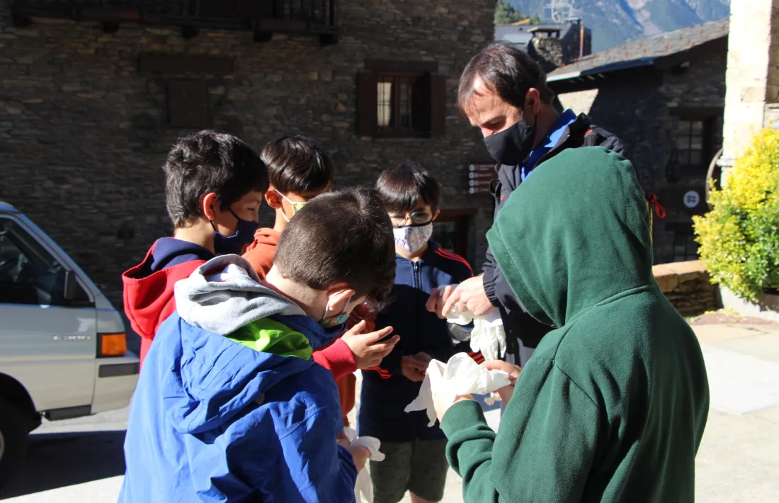 Un moment de la recollida de burilles, aquest matí.
