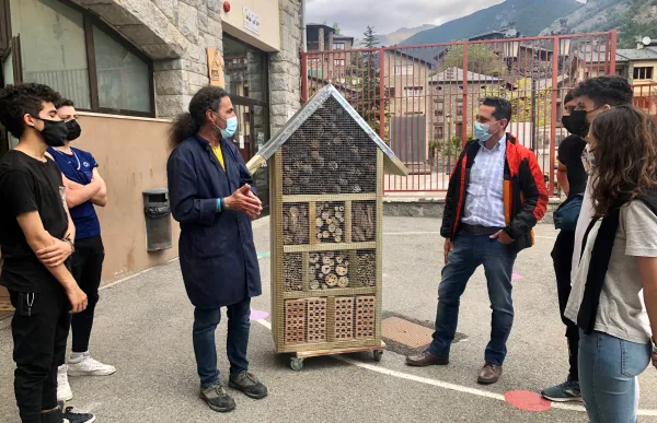 entrega_hotel_insectes_2