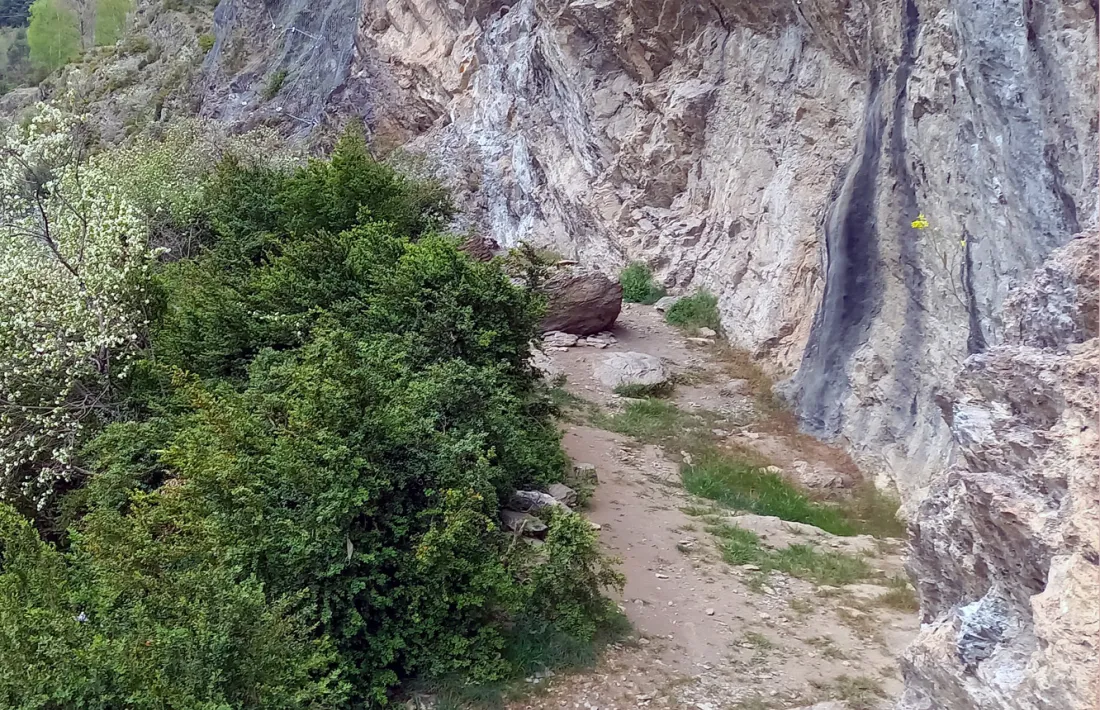 La Balma del Llunci.