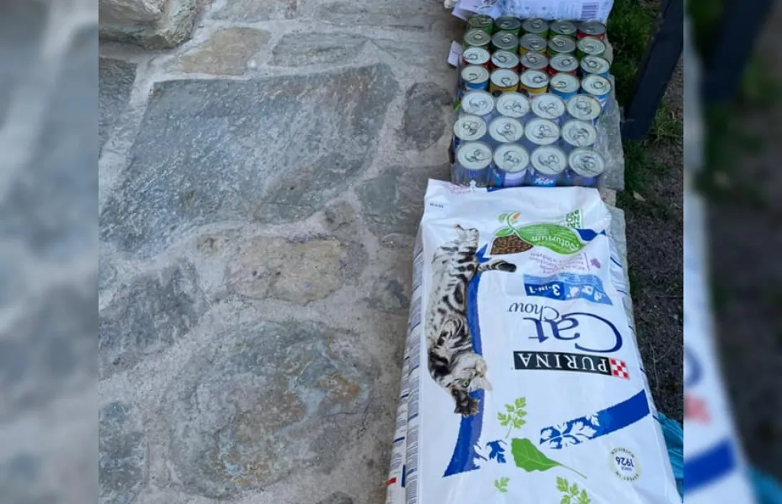 Laika insisteix en la necessitat d’alimentar els gats amb un menjar adequat per evitar les intoxicacions.