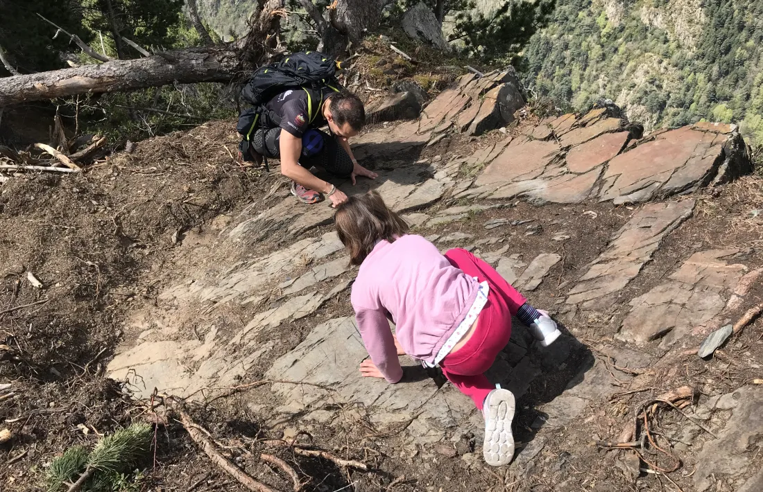 El roc descobert a l’abril pel bander Ferran Teixidó a sobre de Meritxell.