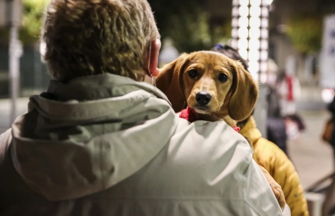 Un gos amb el seu amo.