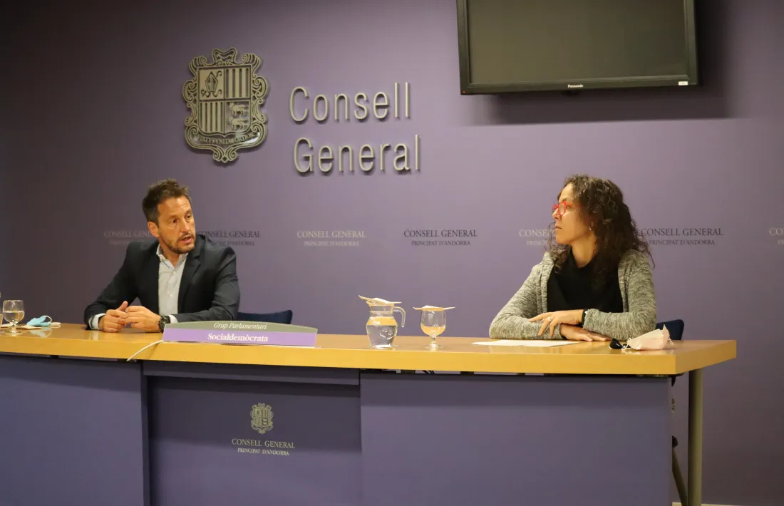 Pere López i Judith Salazar durant la seva compareixença al Consell General.
