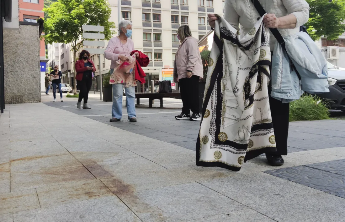 Una de les vianants intenta agafar el periquito amb l’ajuda del mocador.