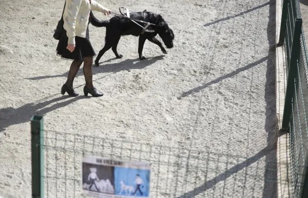 p._11_gos_-_facundo_santana