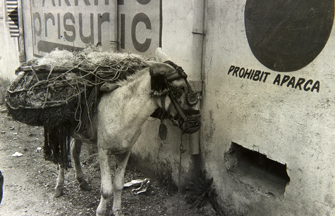 L’ortografia no era el fort de la cartelleria urbana cap al 1979. La fotografia va ser publicada al 'Diario de Barcelona'.
