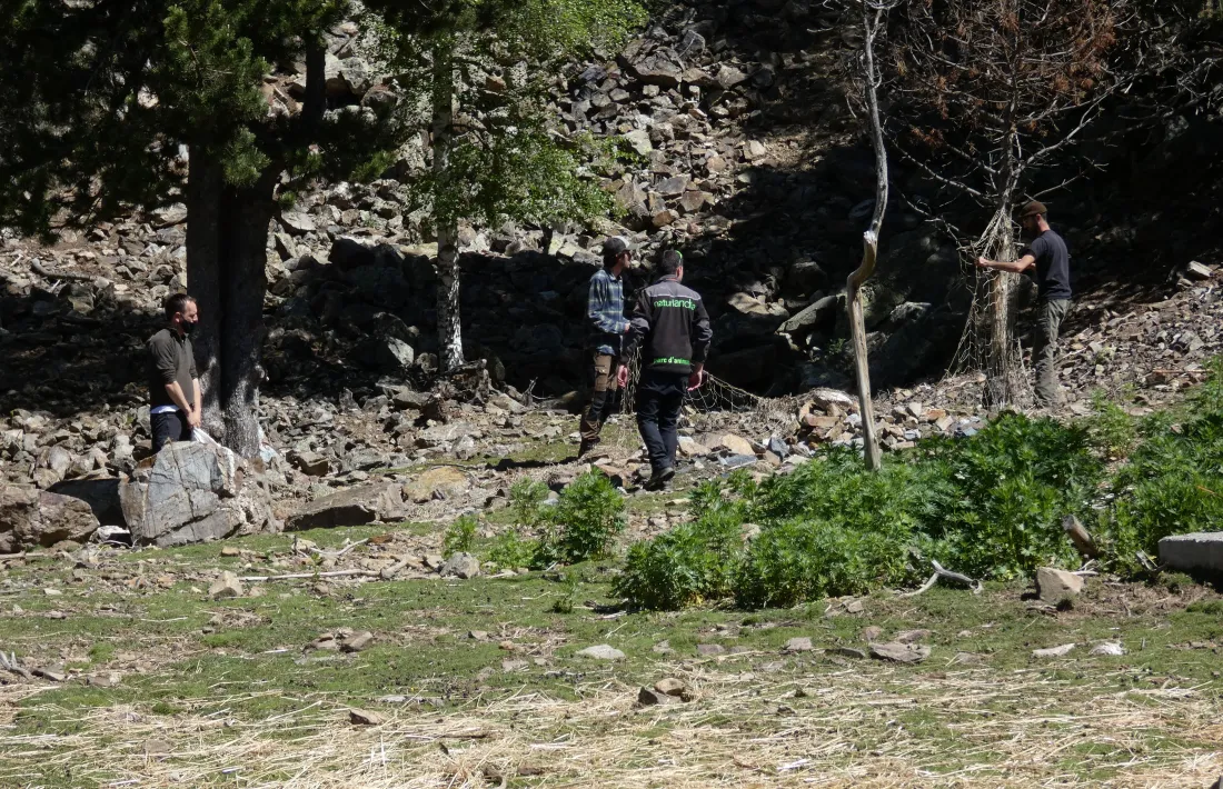 Un moment del trasllat dels animals.