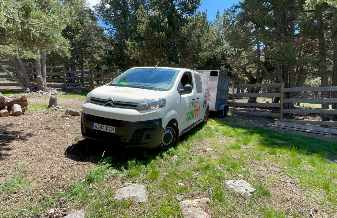 Un moment del trasllat d'animals.