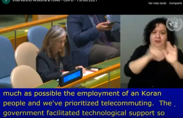 elisenda_vives_onu_discapacitats