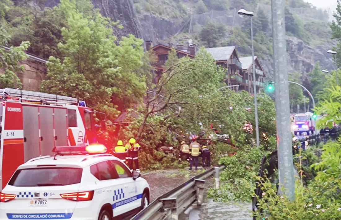 Els bombers treballant per retirar l'arbre de la CG-3.