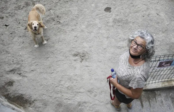 p._07_gos_pipica_-_facundo_santana