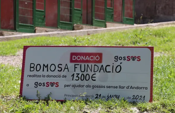 fund_bomosa_i_gossos_2