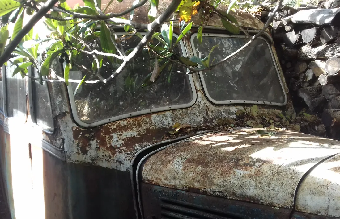 El Fargo, la tardor del 2018 al solar de Fontaneda on es floria des de mitjans anys 70.