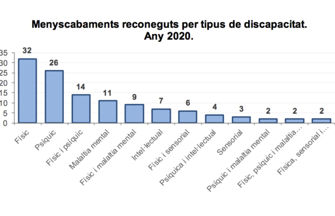 Tipus de discapacitats reconegudes al 2020.
