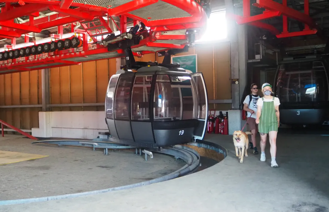 Una parella i el seu gos surten del Funicamp a l'alçada de Solanelles.