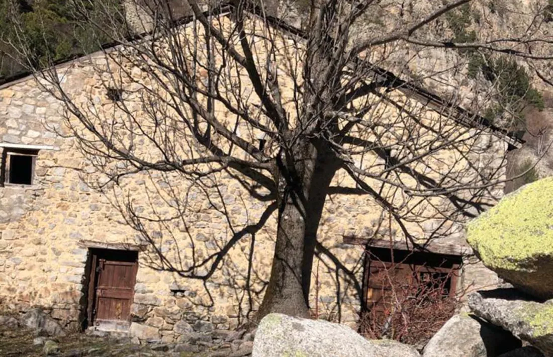 La boda que el Comú ha llogat a Ràmio.