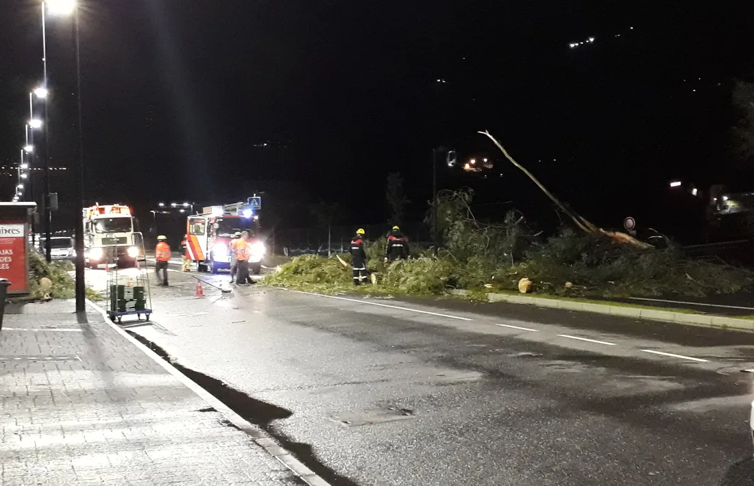 Una de les intervencions del cos de bombers, ahir.