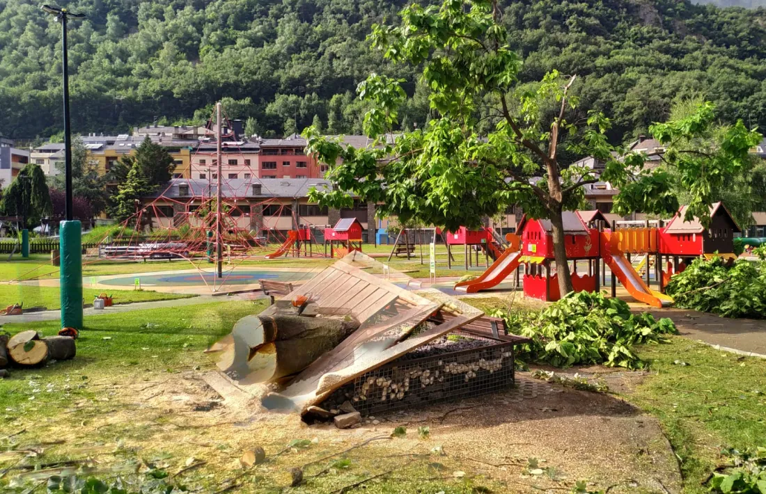 Estat del Parc Central per la tempesta.