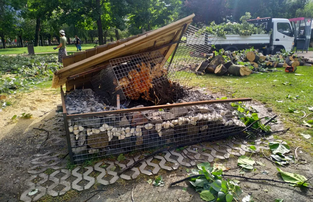 Estat del Parc Central per la tempesta.