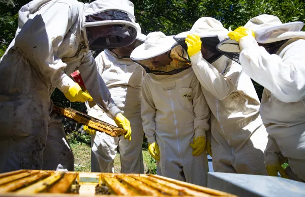 155272_51311276768_6b671b6559_o