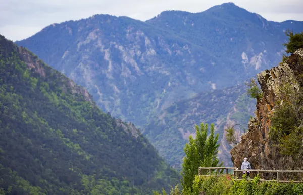 p._08_1._rec_-_comu_alv