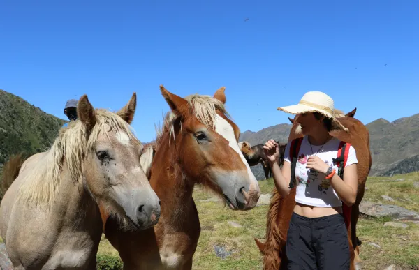 155342_151499_sorteny1