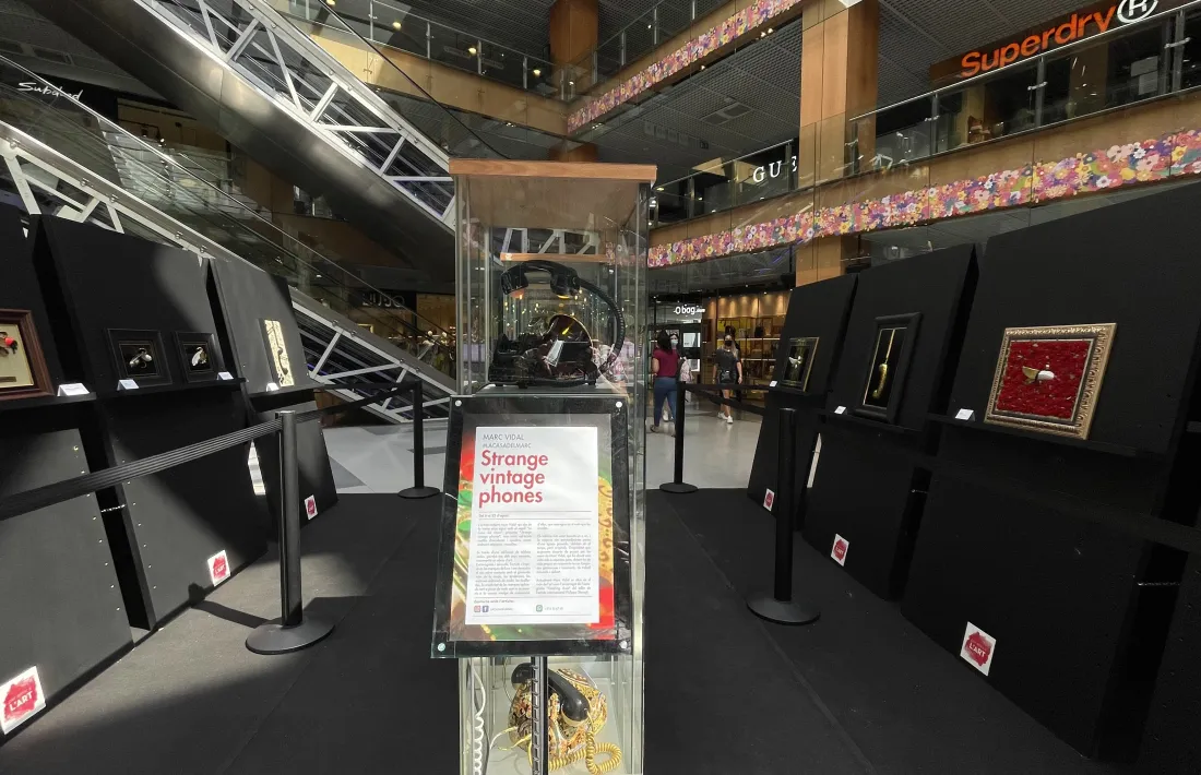 L'exposició es podrà visitar fins el proper 22 d'agost.