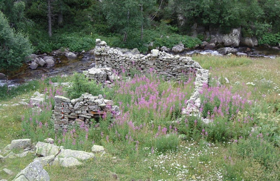 Restes del martinet de la farga del Madriu, envoltades de murs de pedra seca. 