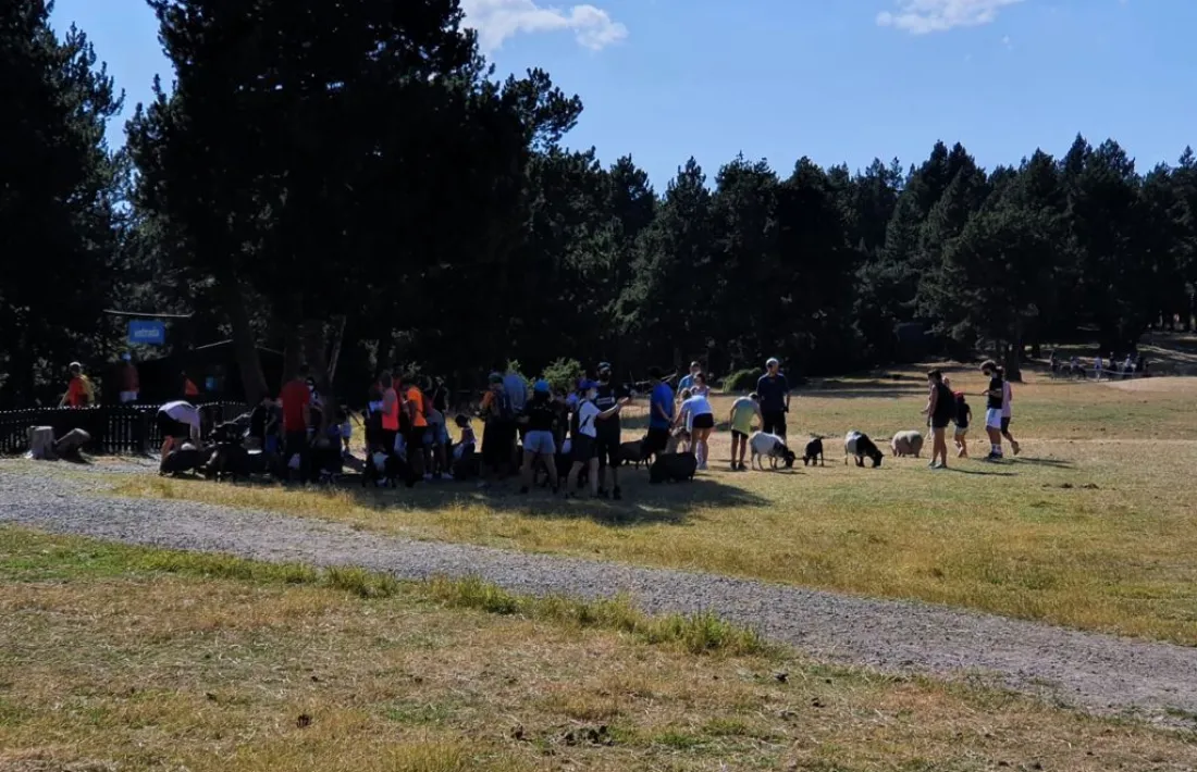 Visitants en una de les activitats al prat de Conangle.