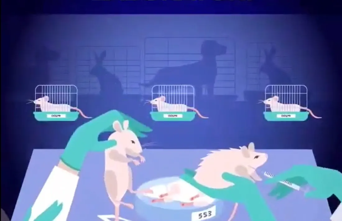 Imatge del video compartit per la plataforma a les xarxes.