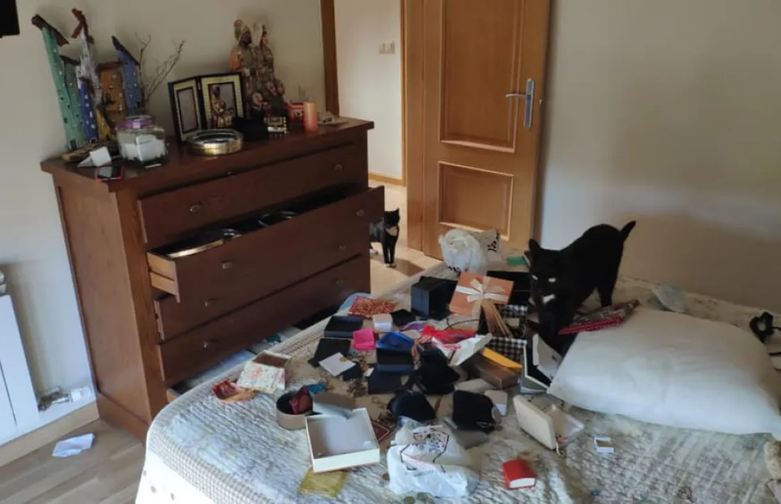 Estat en què els lladres van deixar un domicili de la capital alturgellenca després d’un robatori.