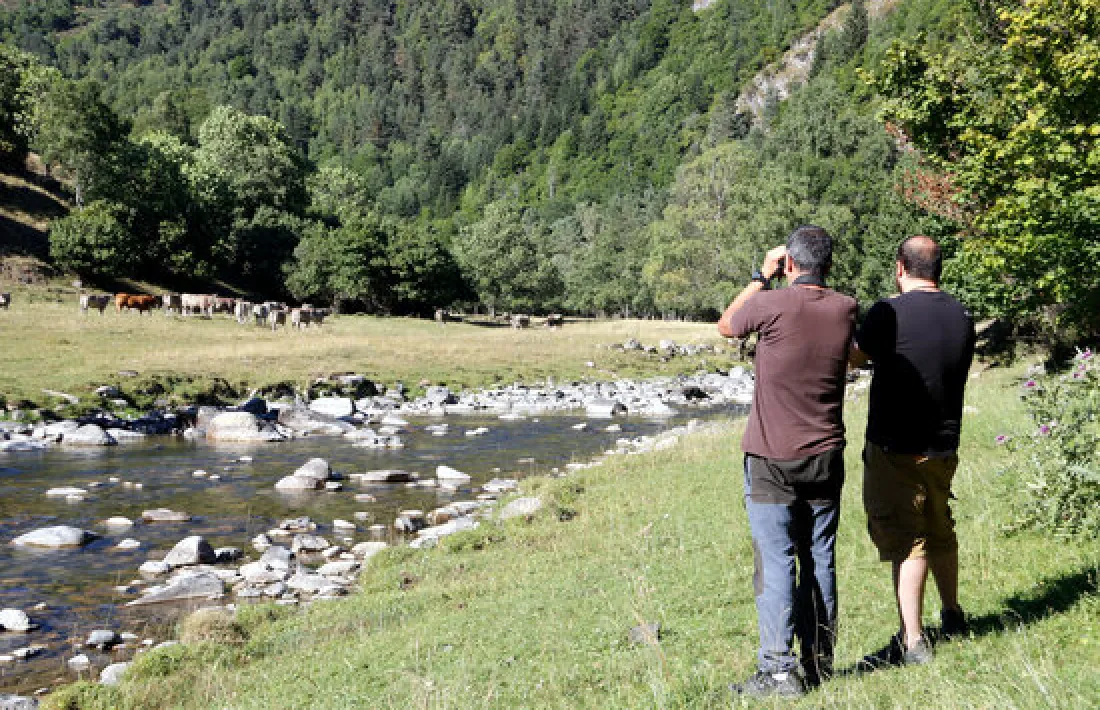 Vall de Bonabé, al Pallars Sobirà. 