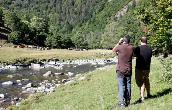 casa_de_los_foto_3836106