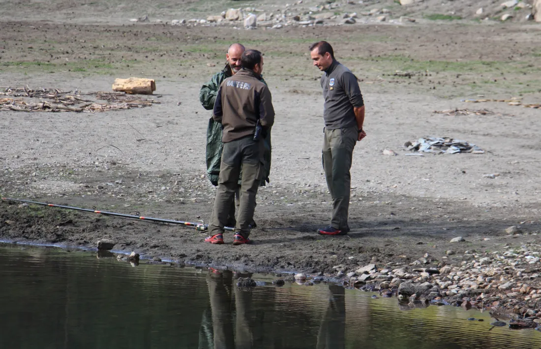 Banders, en una imatge d'arxiu. 