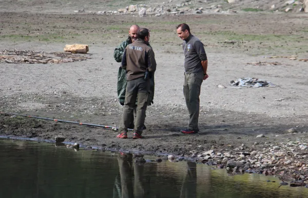 banders_155724_fotocos