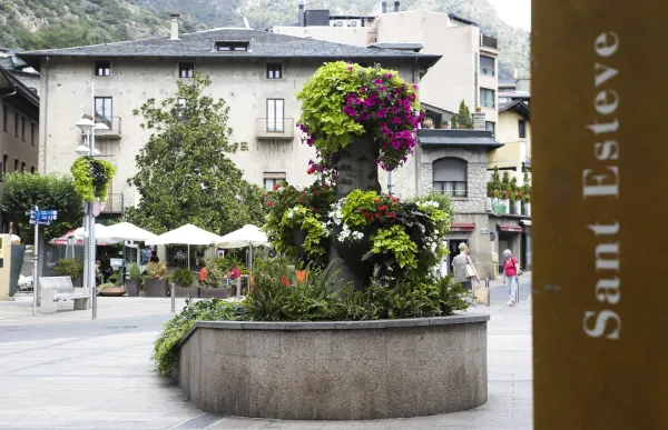 p._11_arbre_princep_benlloch_-_facundo_santana