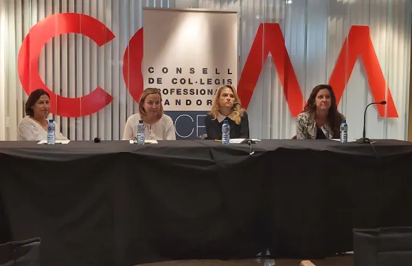 p._06_rp_consell_colegis_professionals