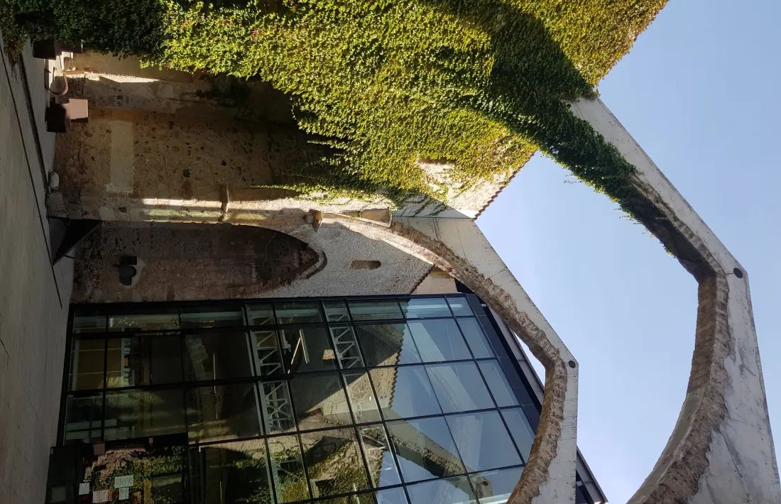 Pati de Sant Agustí. 