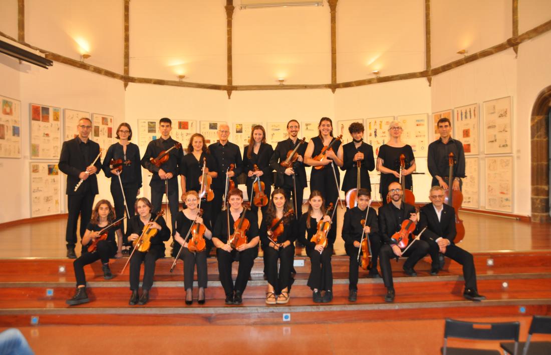 Imatge de l’actual formació de l’orquestra de cambra. 