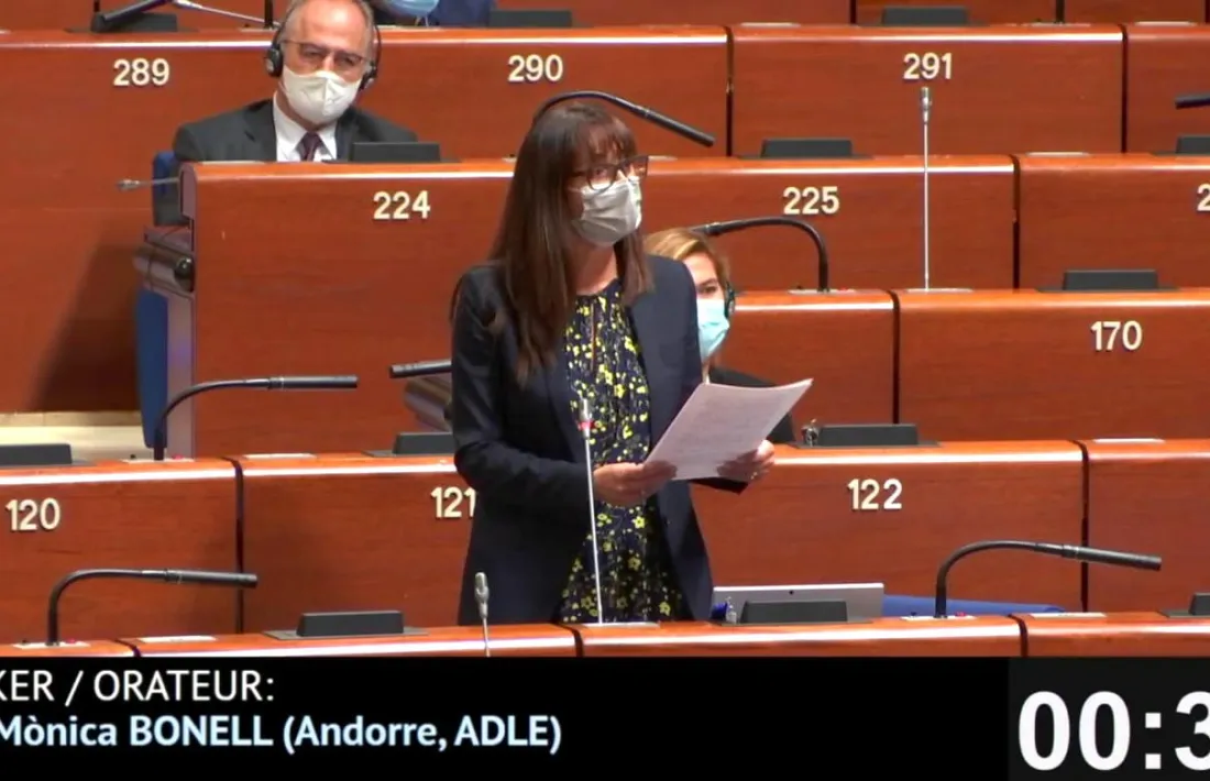 Un moment de la intervervenció de Bonell aquest migdia al Consell d'Europa,