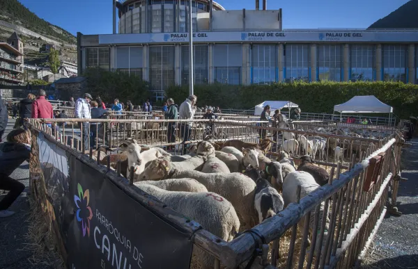 fira_bestiar_canillo