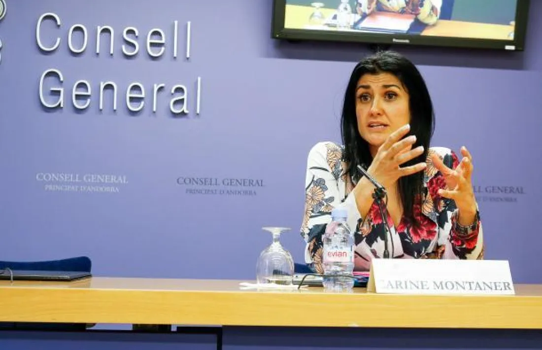 La consellera general no adscrita, Carine Montaner.
