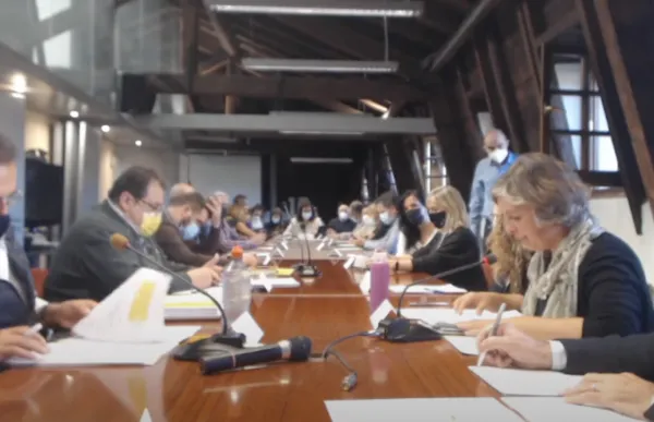 p._12_ple_consell_comarcal_