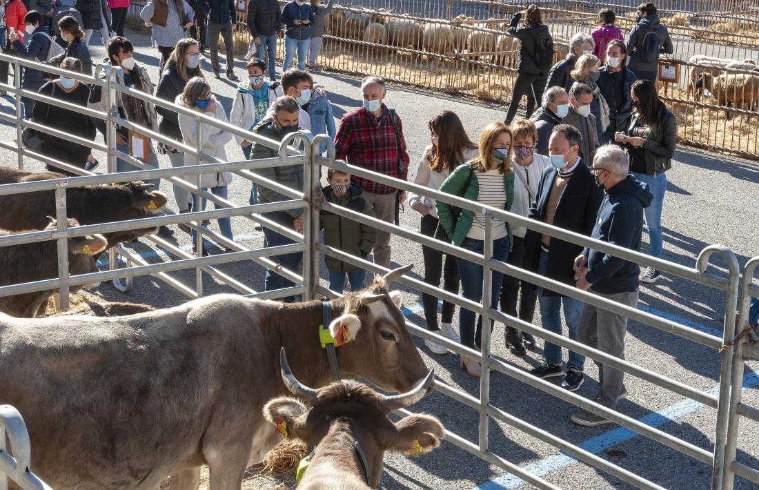 A la fira del bestiar de Canillo hi han participat 16 explotacions ramaderes de la parròquia.