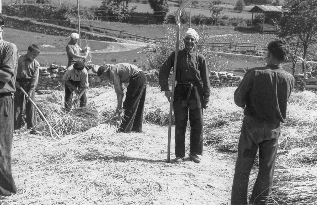 Tasques agrícoles a Ordino durant la primera meitat del segle XX.