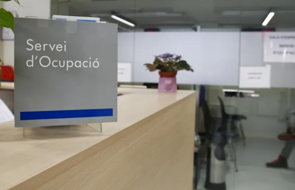 p._04_1_servei_ocupacio