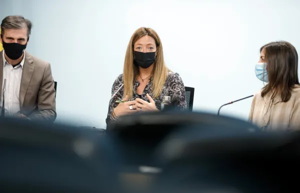 p._03_1._covid_persistent_-_sfga