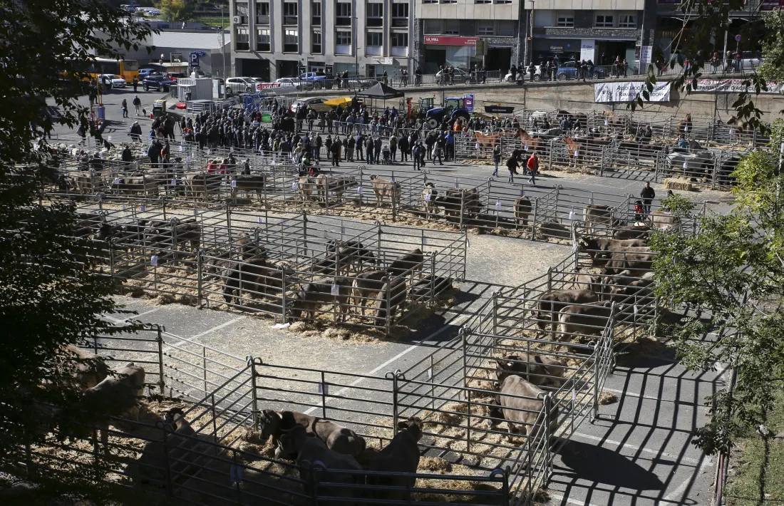 La ministra Sílvia Calvó ha anunciat la llei òmnibus al sector en el marc de la 42a Fira concurs del bestiar d’Andorra la Vella.