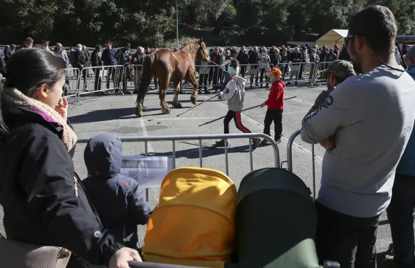 p._09.1_fira_bestiar_-_facundo_santana