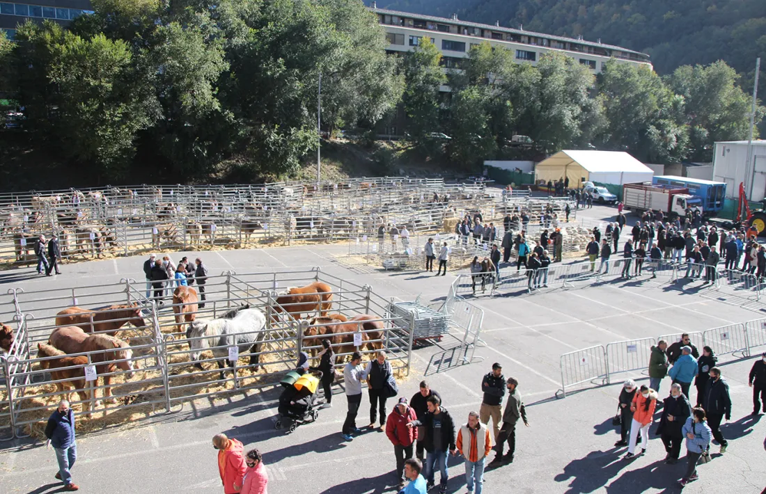 La 42a Fira concurs del bestiar.